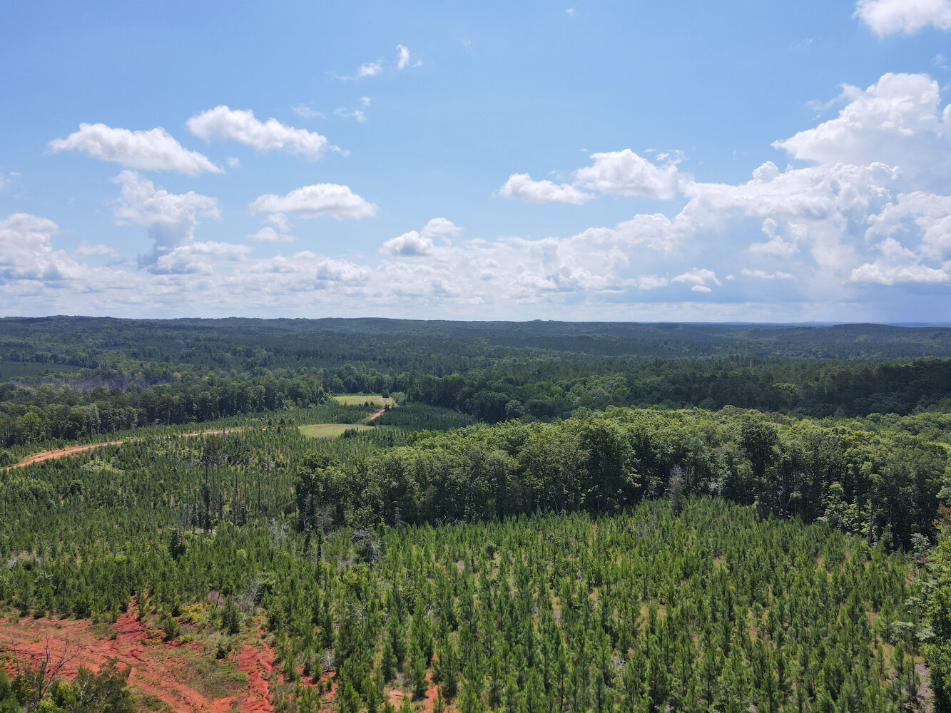 Wildlife Road Hunting and Recreation in Kershaw County, South Carolina (48 Photos) National