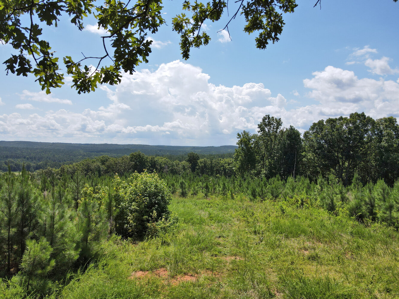 Wildlife Road Hunting and Recreation in Kershaw County, South Carolina