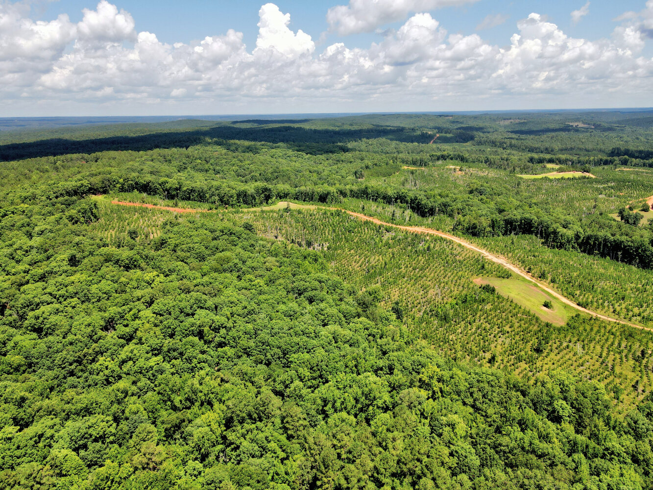 Wildlife Road Hunting and Recreation in Kershaw County, South Carolina