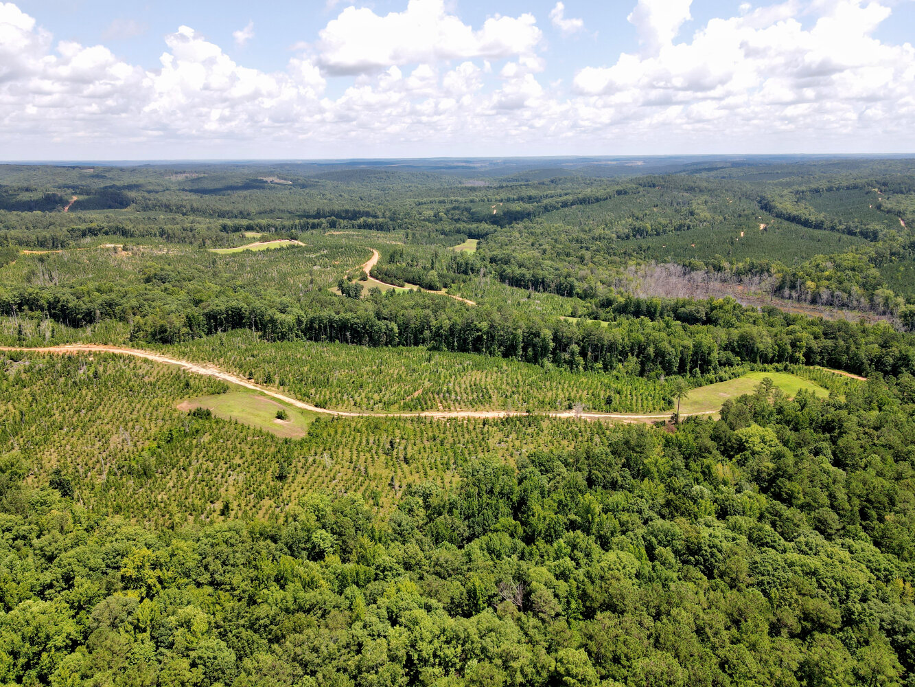 Wildlife Road Hunting and Recreation in Kershaw County, South Carolina