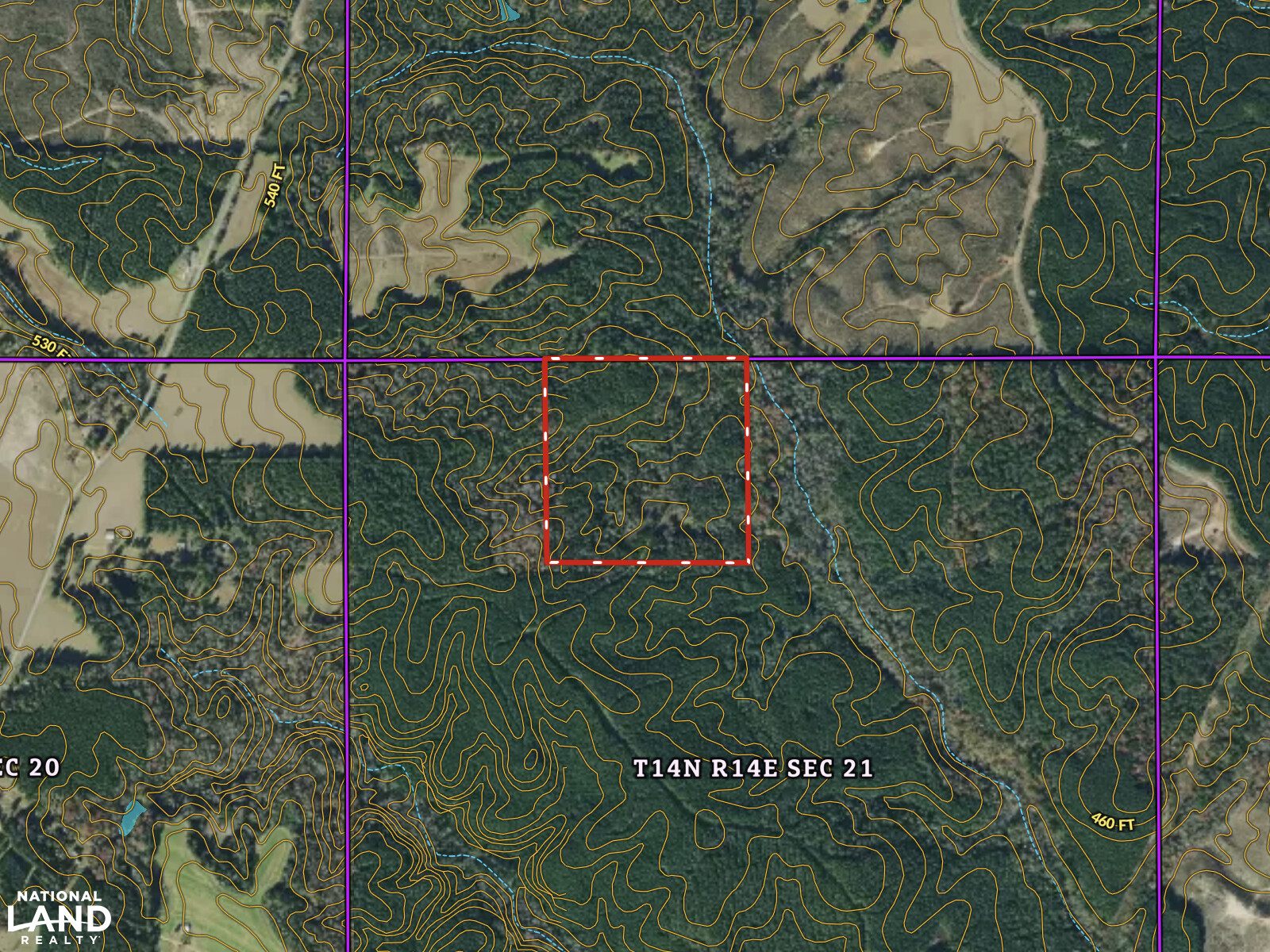 Hunting & Investment Timberland in Winston County, Mississippi (4