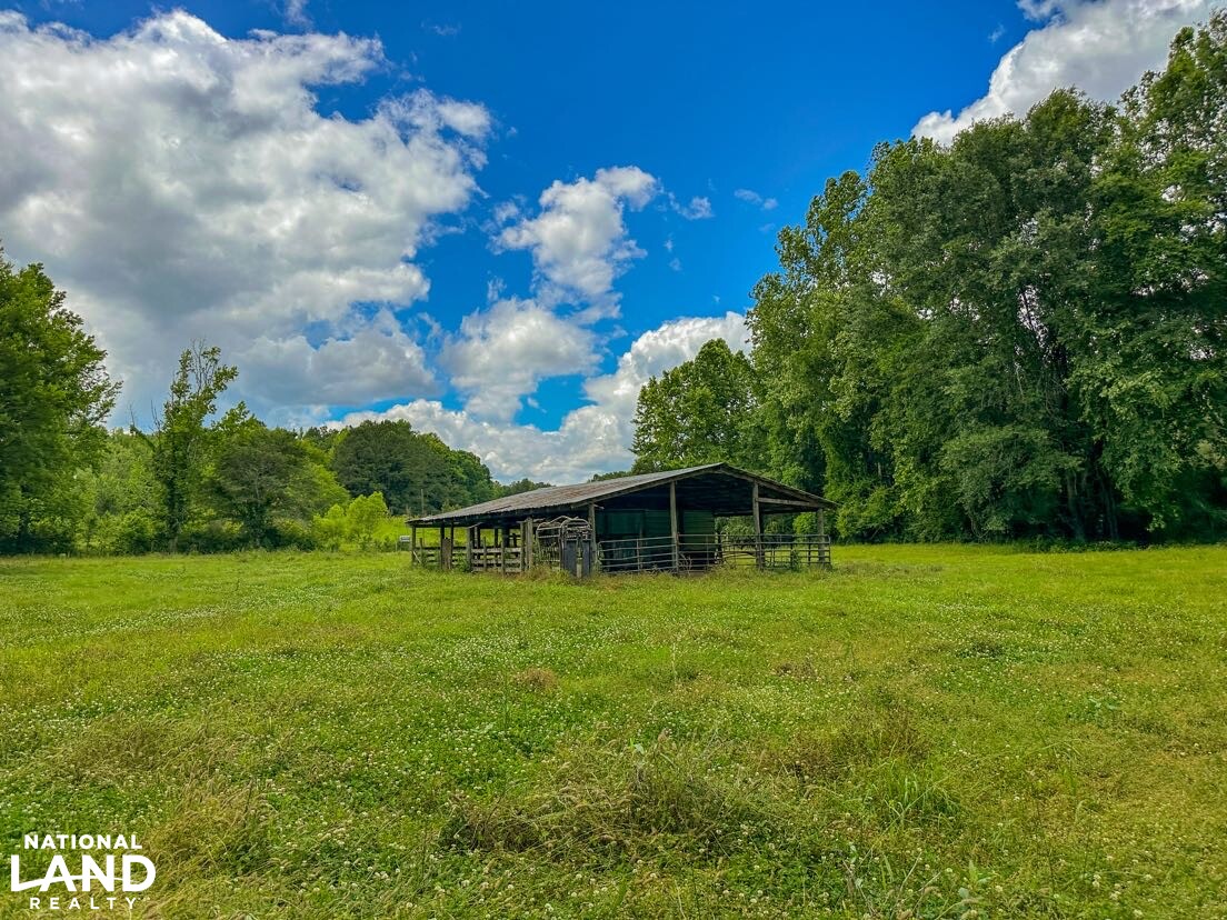 Pine Nook Farm in Perry County, Alabama (57 Photos) National Land Realty
