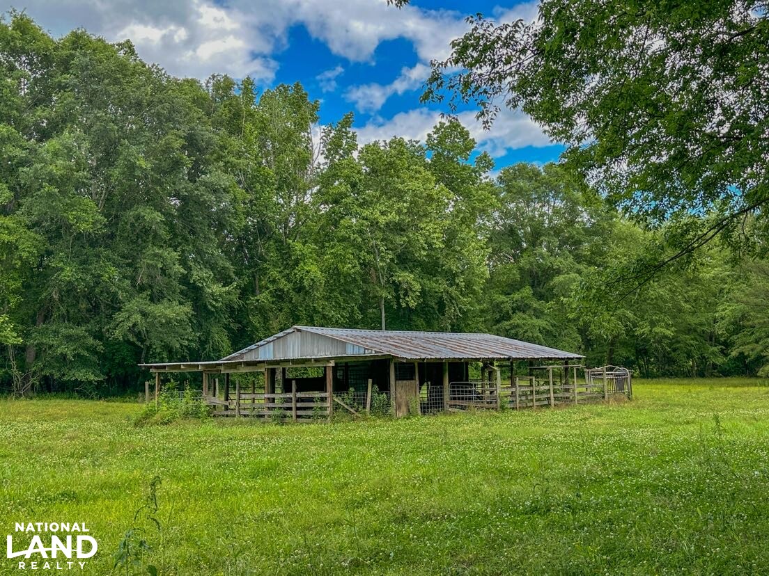 Pine Nook Farm in Perry County, Alabama (57 Photos) National Land Realty