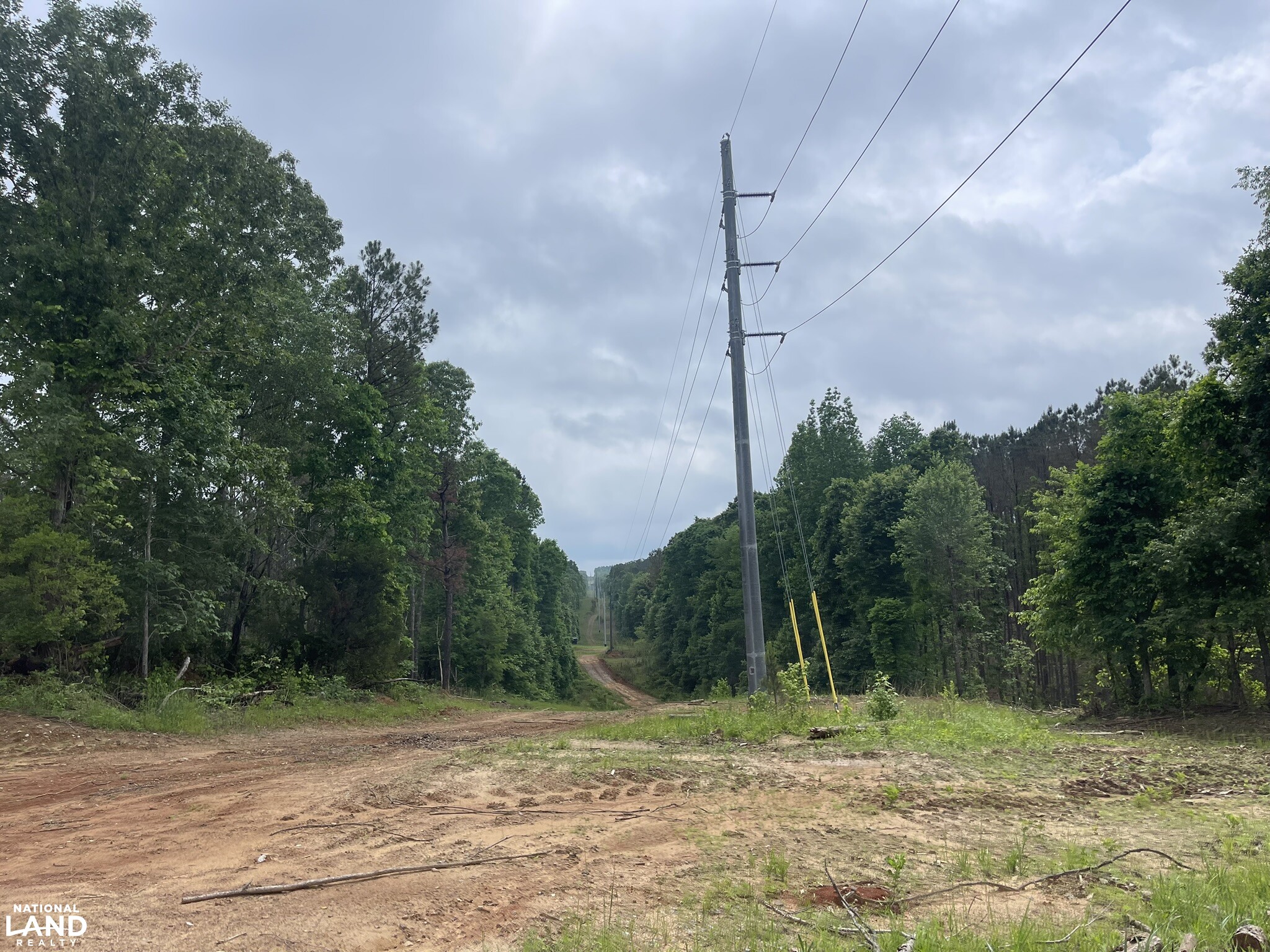 Guin Hunting Timber Homesites in Marion County, Alabama (15 Photos