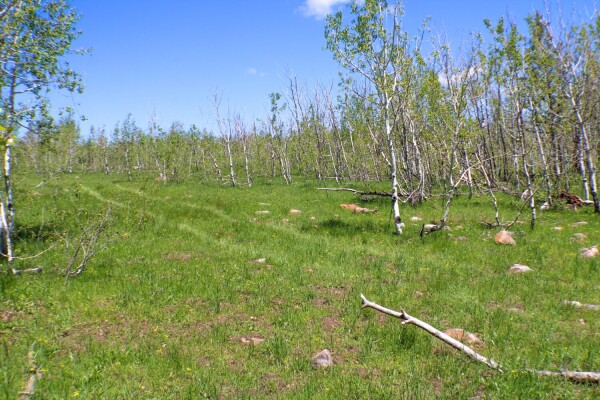 Lava Ranch Property in Bannock County, Idaho (48 Photos) | National ...
