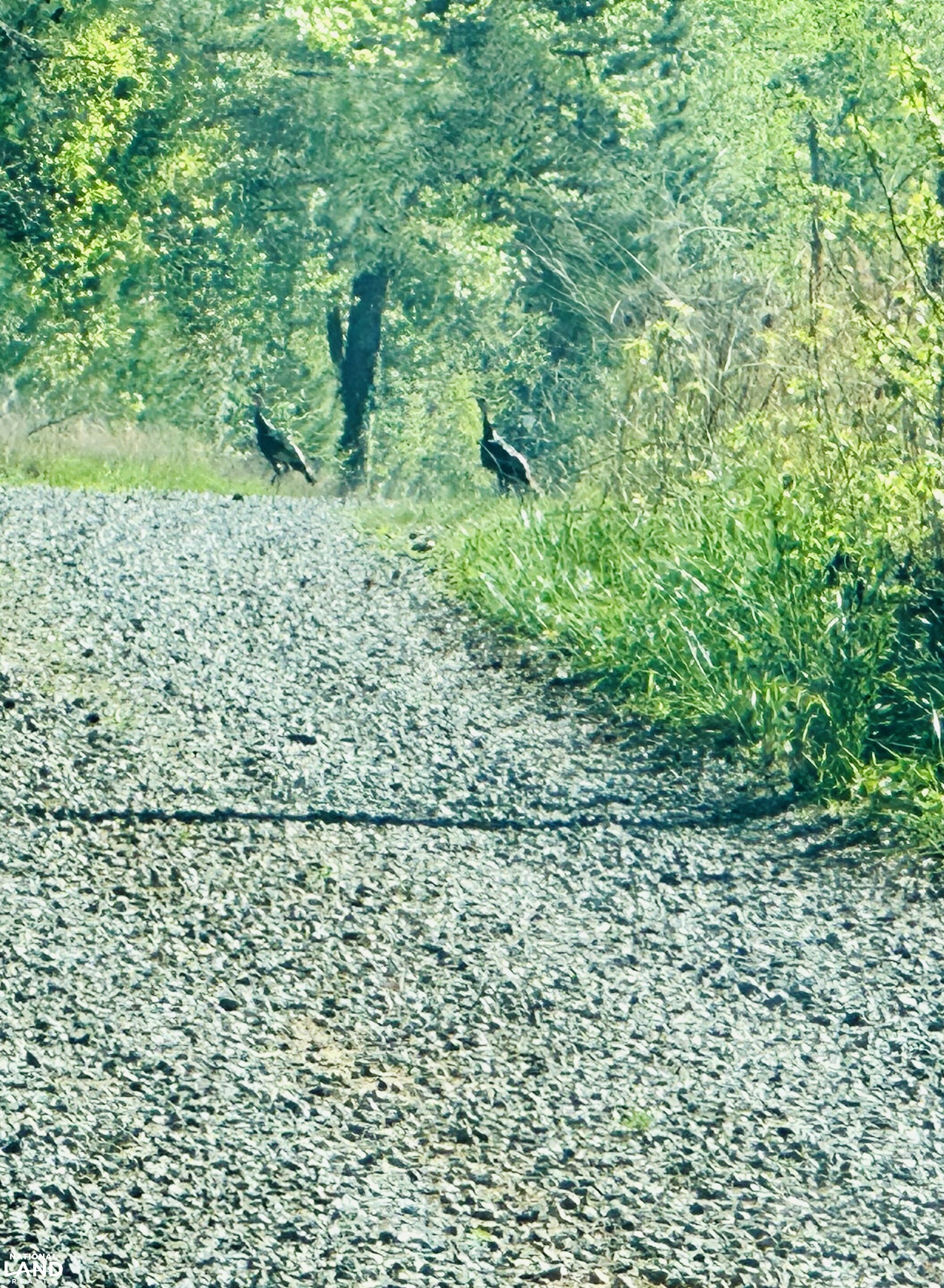 Small Farm/Homesite/Recreational property in Middlesex County, Virginia