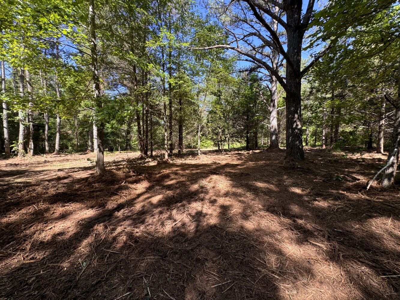Tippah Co. Country Homesite Lot 4 in Tippah County, Mississippi (30