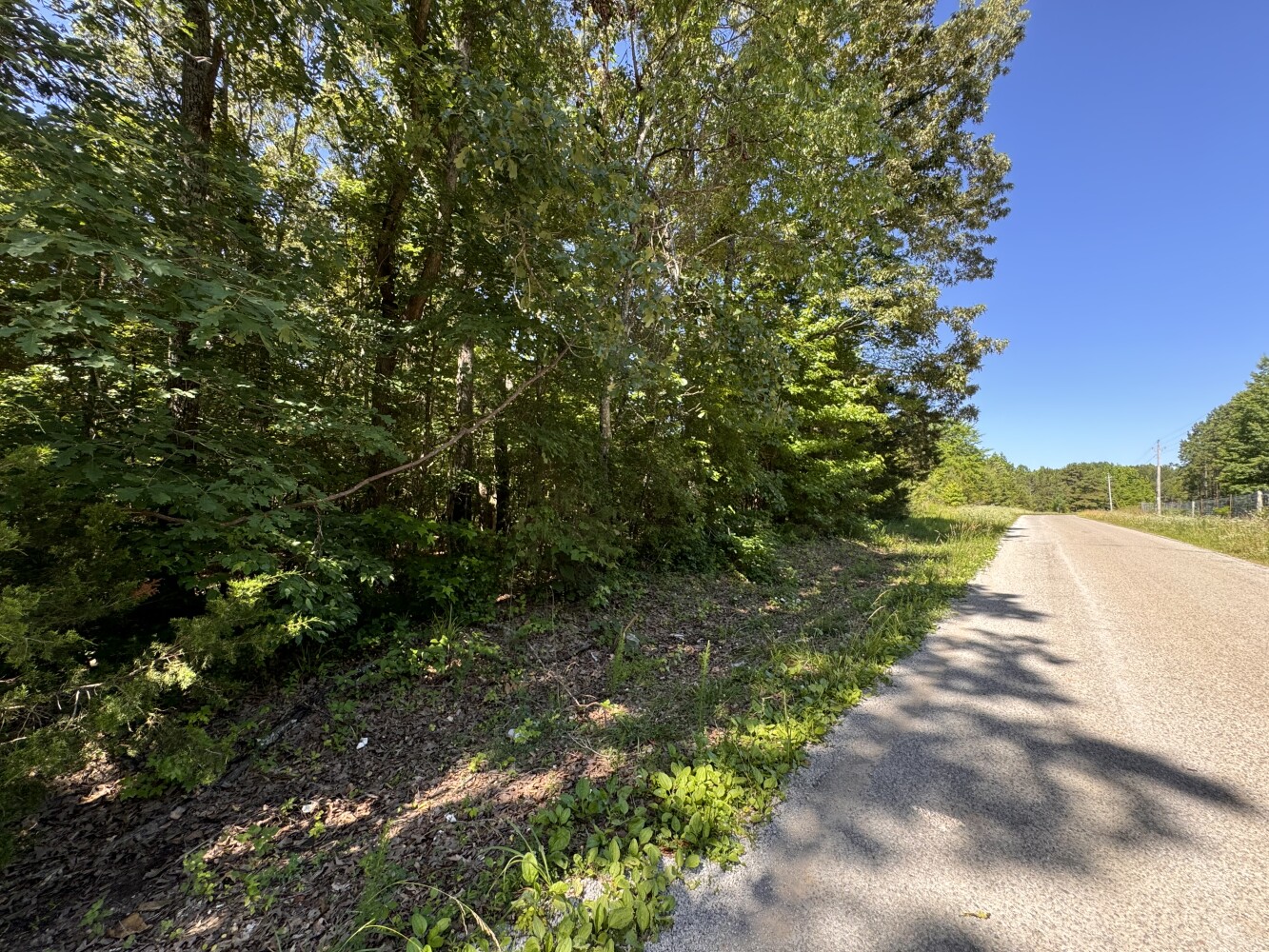 Tippah Co. Country Homesite Lot 5 in Tippah County, Mississippi (30