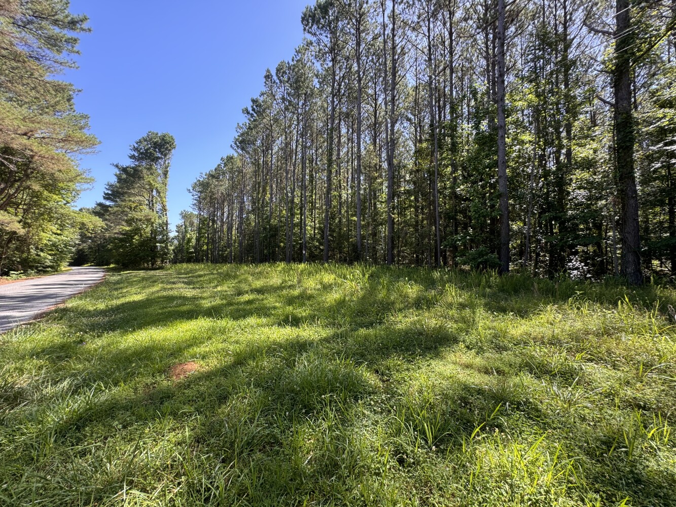 Tippah Co. Country Homesite Lot 5 in Tippah County, Mississippi (30