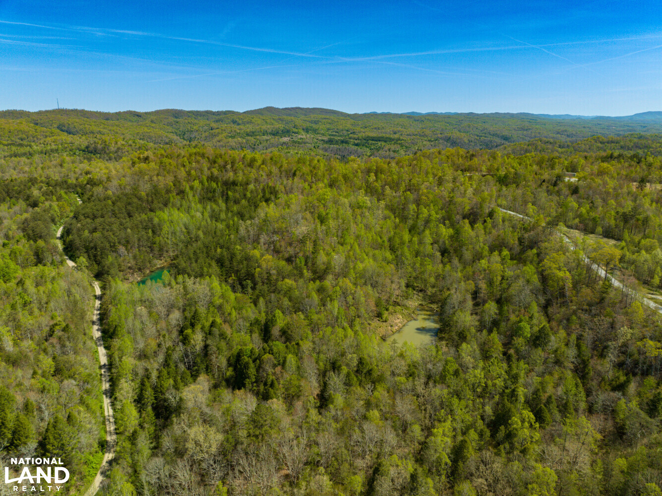 Sand Gap Reserve East in Campbell County, Tennessee (24 Photos