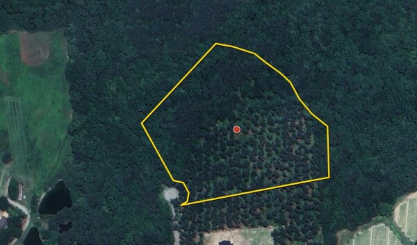 Listing image 8