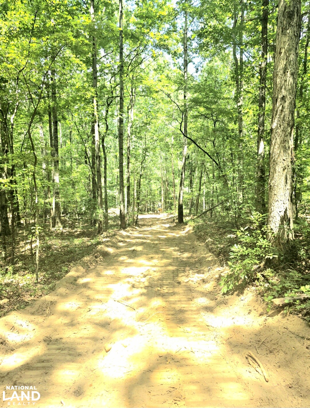 clear from the blacktop to the top of the crest. (17 of 22)