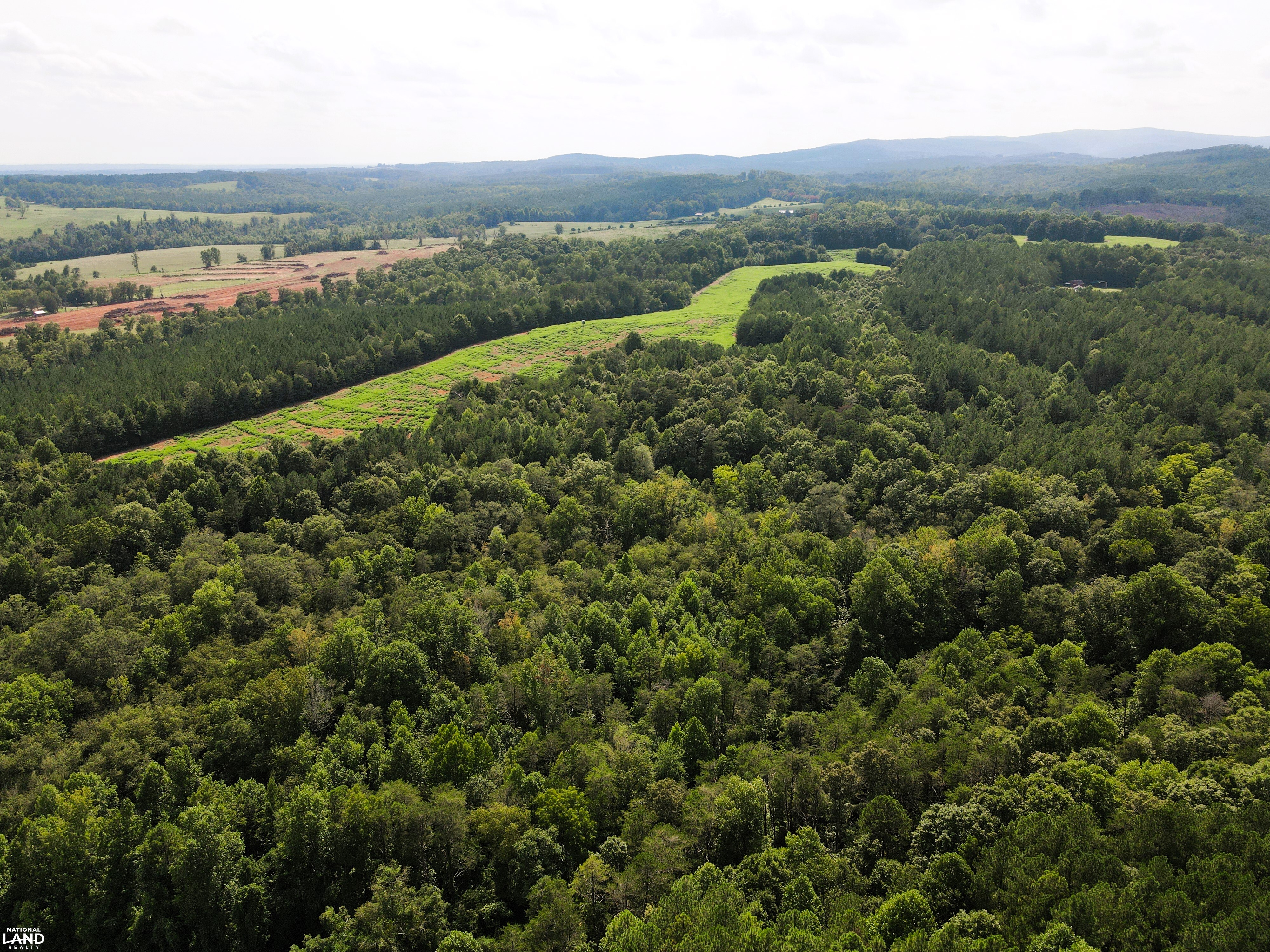 Stroud Rd 23+/- Acre Timber Tract! in Cleveland County, North Carolina ...