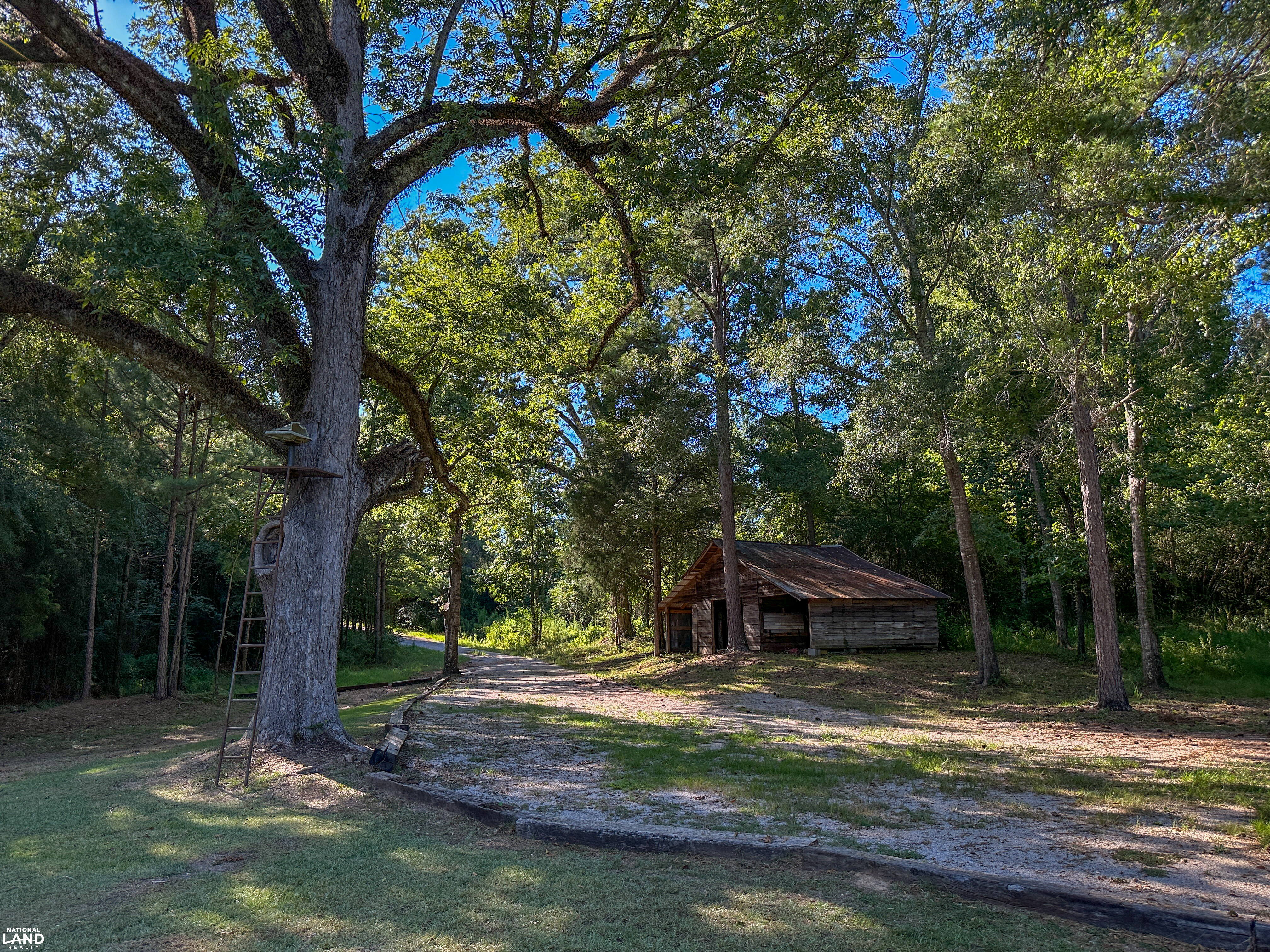 Deer Creek Road Farm, Camp and Timber in Bibb County, AL (12 of 75)