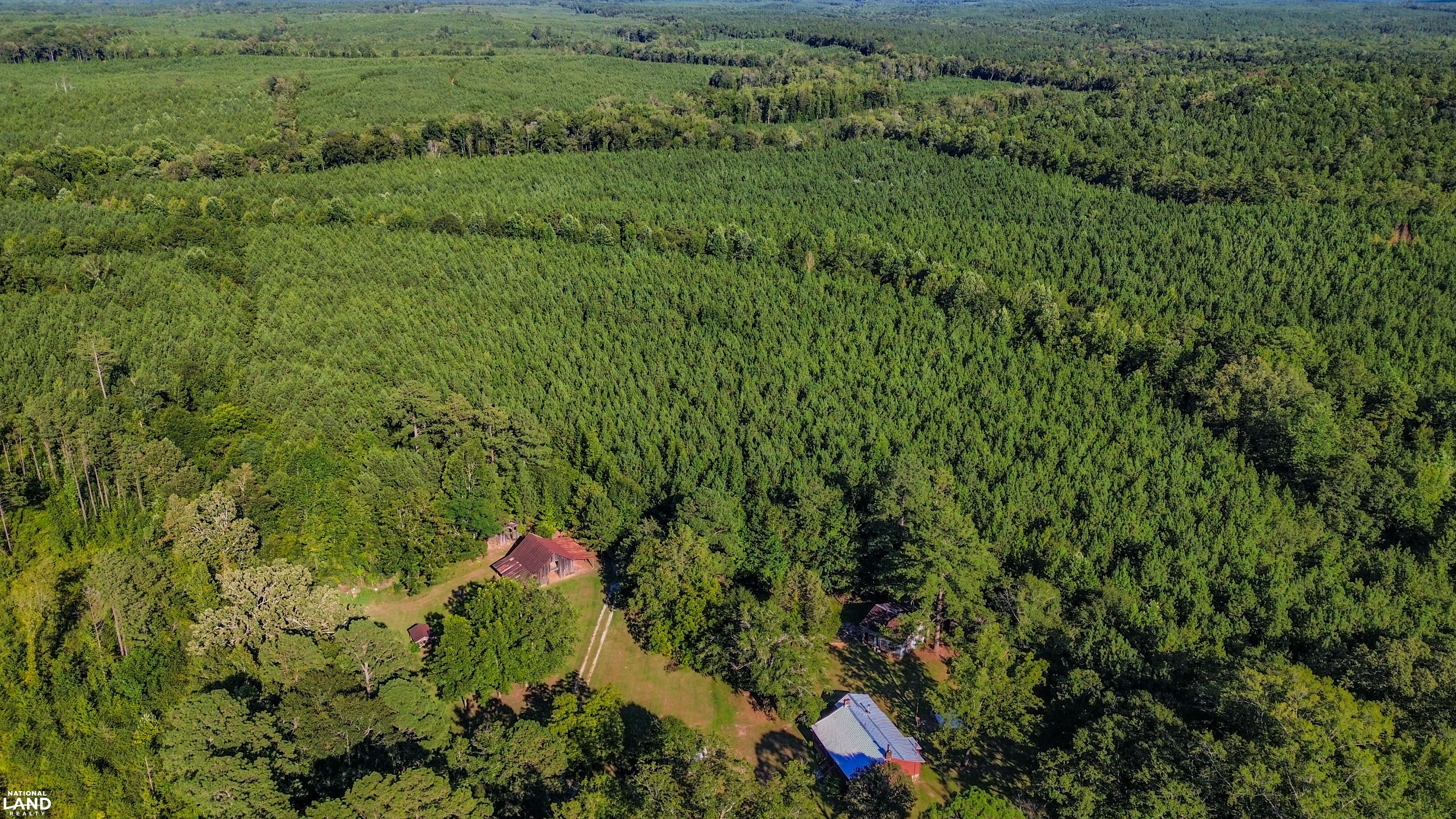 Deer Creek Road Farm, Camp and Timber in Bibb County, AL (14 of 75)