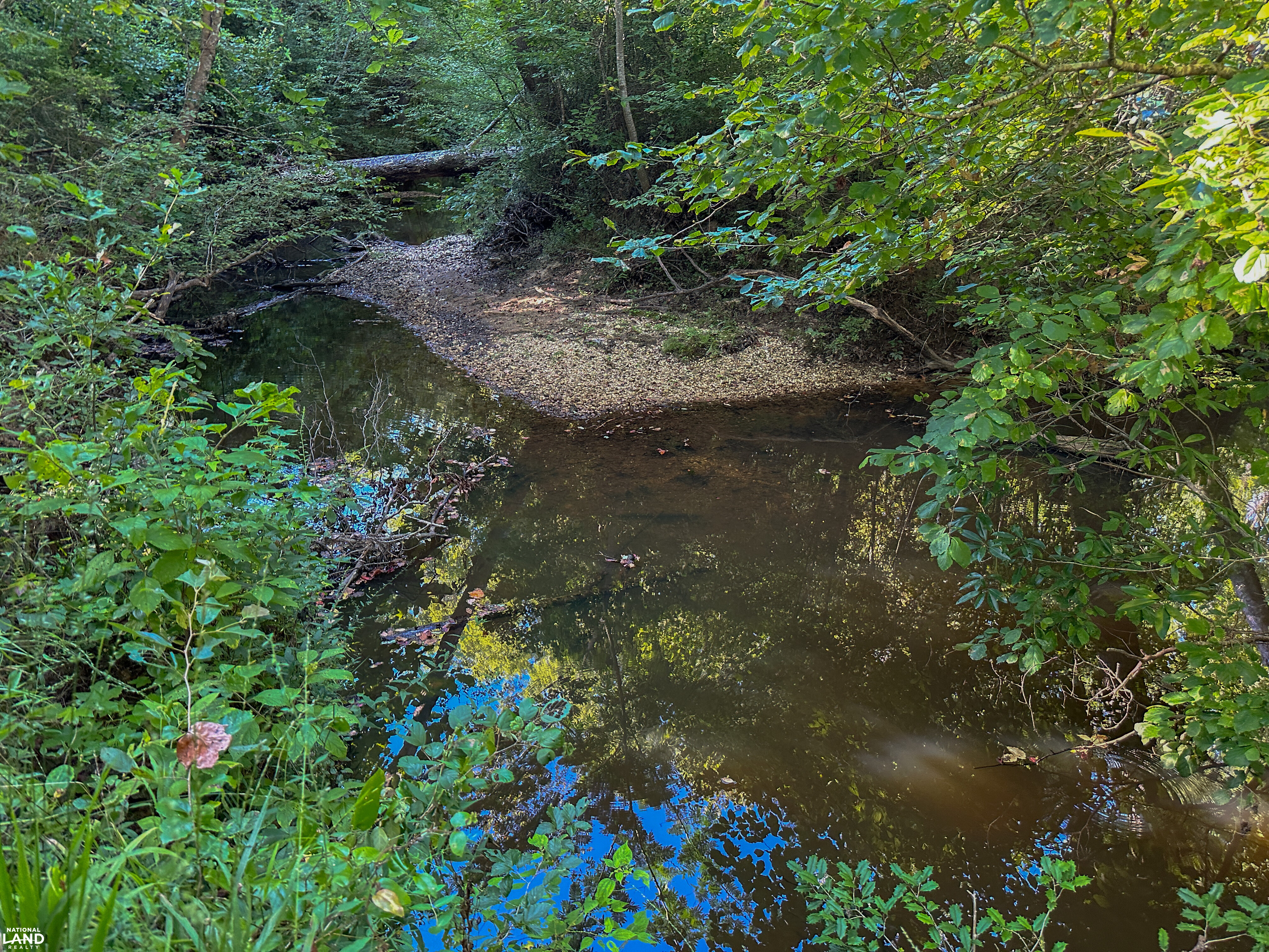 Deer Creek Road Farm, Camp and Timber in Bibb County, AL (25 of 75)