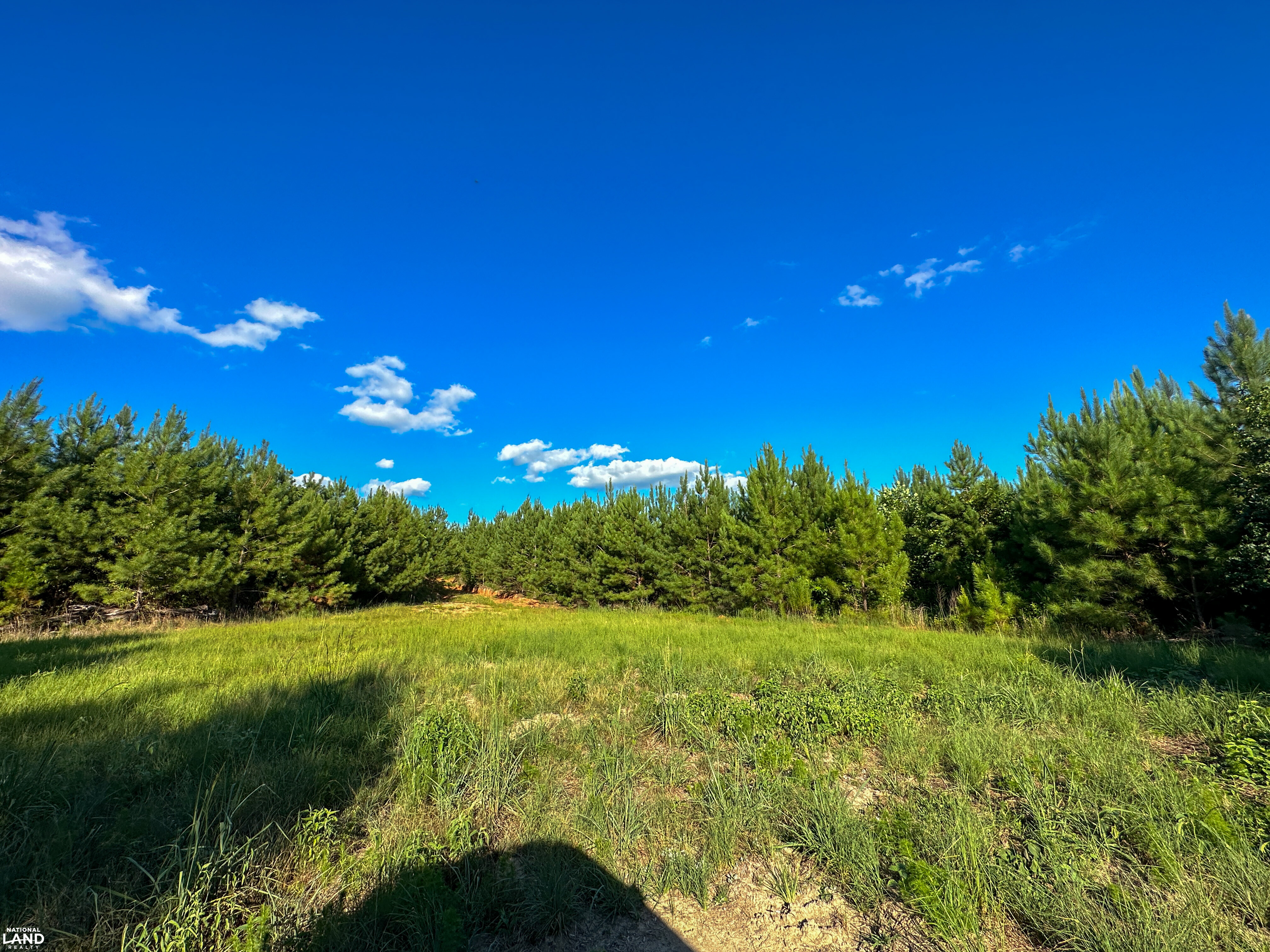 Deer Creek Road Farm, Camp and Timber in Bibb County, AL (26 of 75)