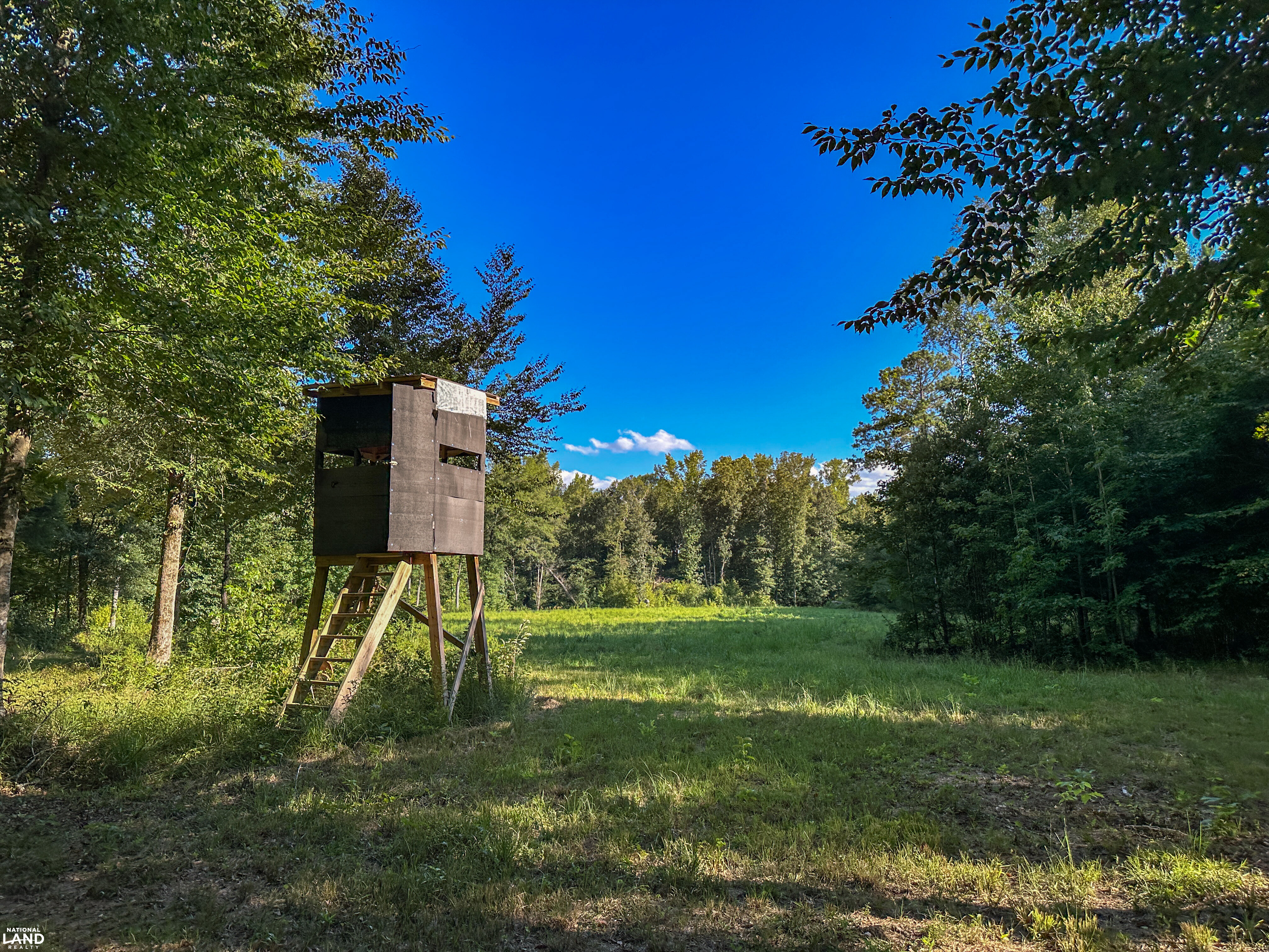 Deer Creek Road Farm, Camp and Timber in Bibb County, AL (28 of 75)