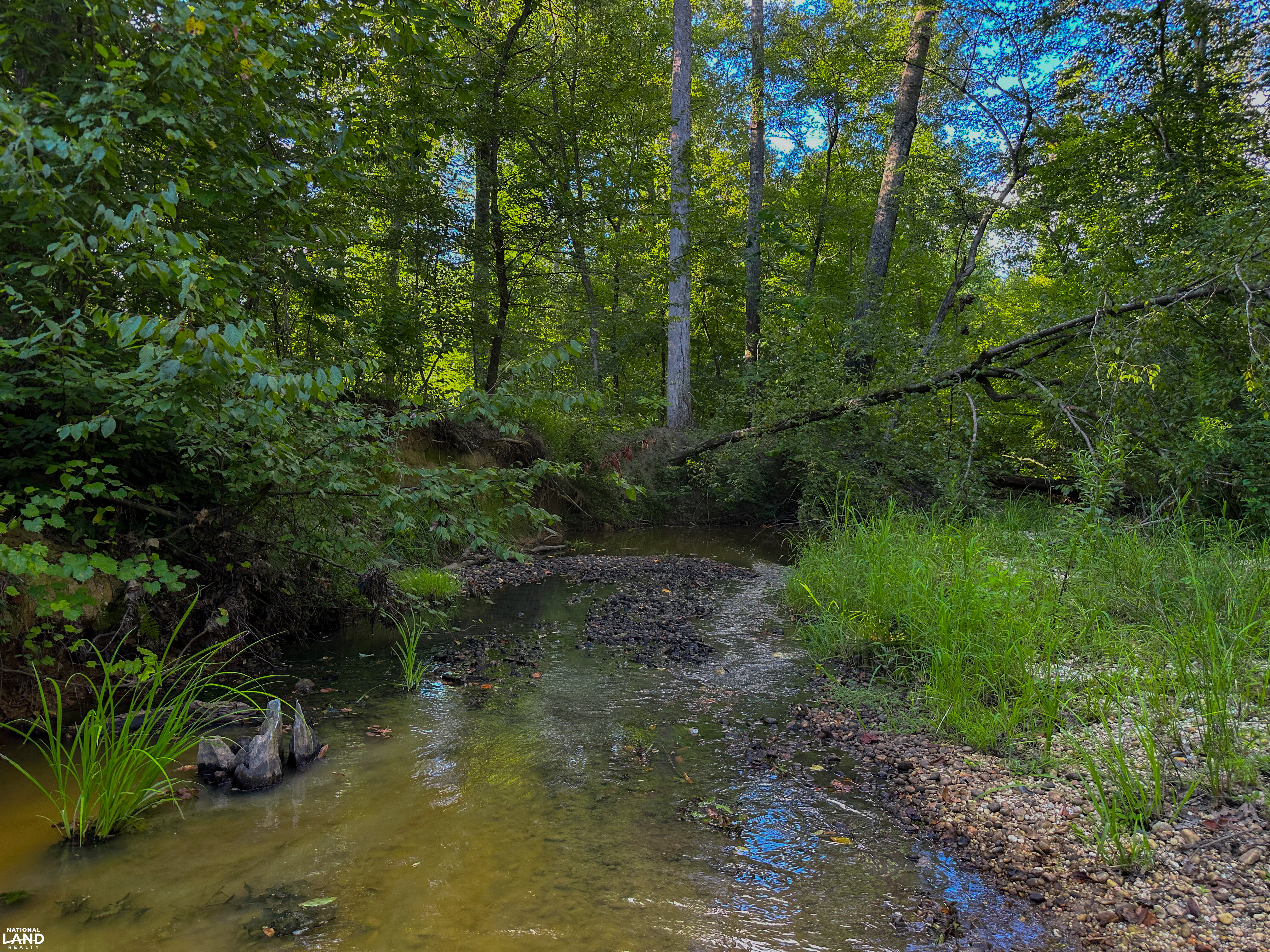 Deer Creek Road Farm, Camp and Timber in Bibb County, AL (30 of 75)