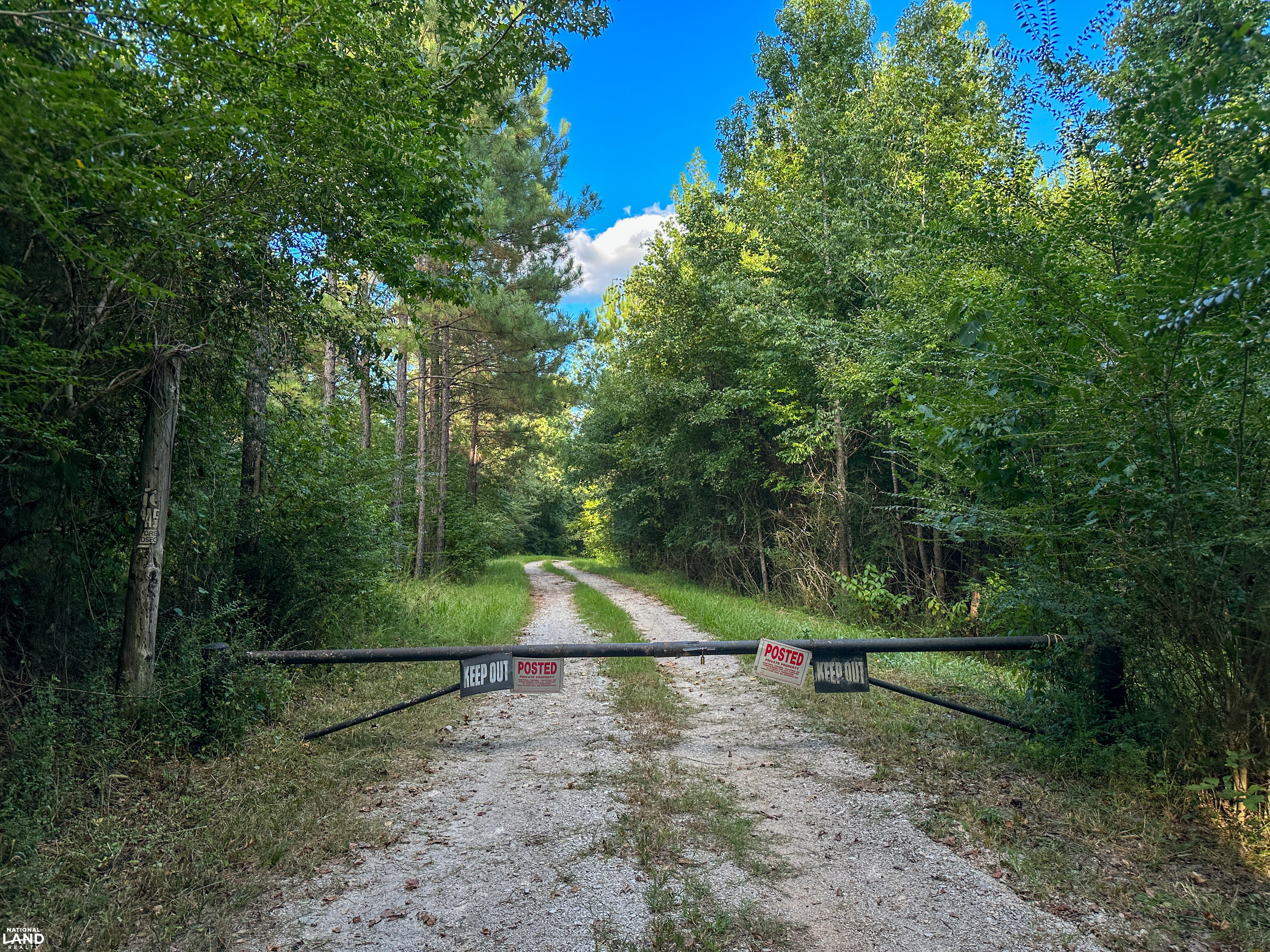 Deer Creek Road Farm, Camp and Timber in Bibb County, AL (32 of 75)