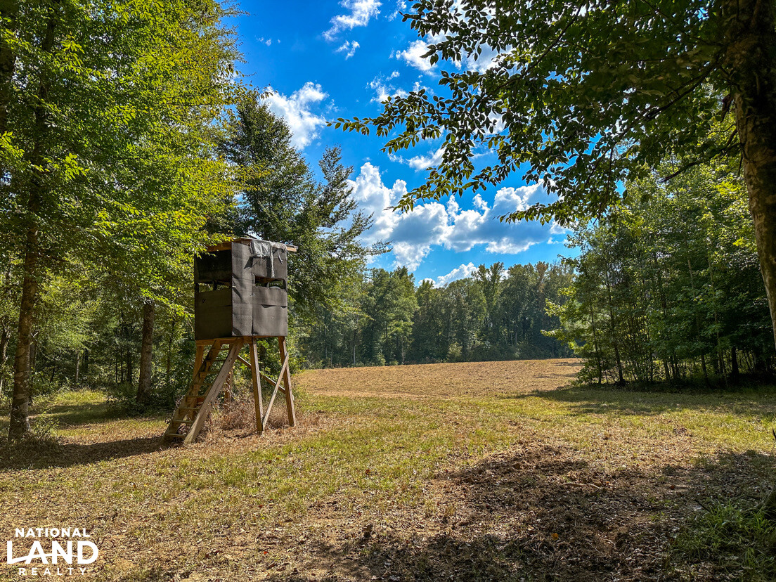 Deer Creek Road Farm, Camp and Timber in Bibb County, AL (34 of 75)