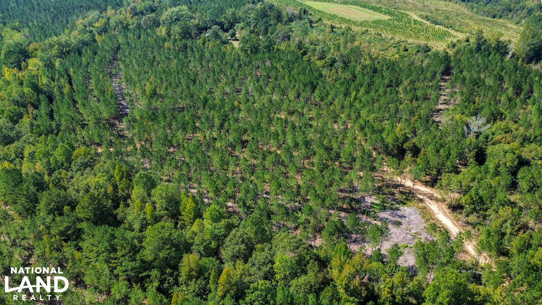 Deer Creek Road Farm, Camp and Timber in Bibb County, AL (37 of 75)