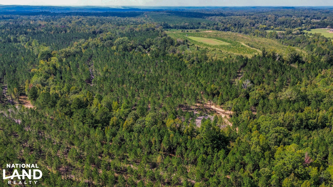 Deer Creek Road Farm, Camp and Timber in Bibb County, AL (38 of 75)