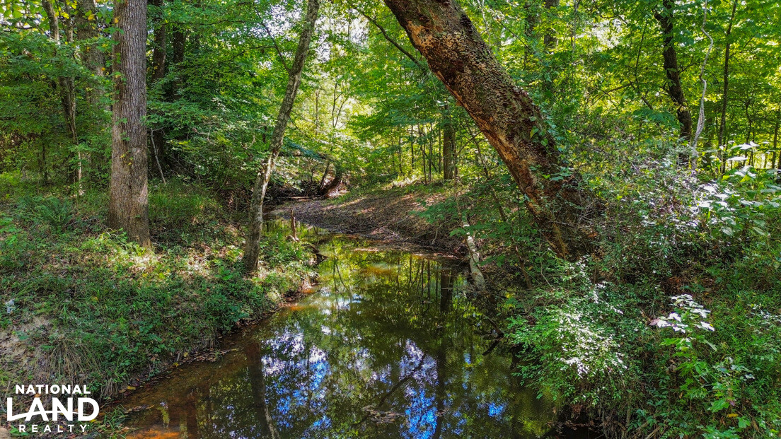 Deer Creek Road Farm, Camp and Timber in Bibb County, AL (39 of 75)