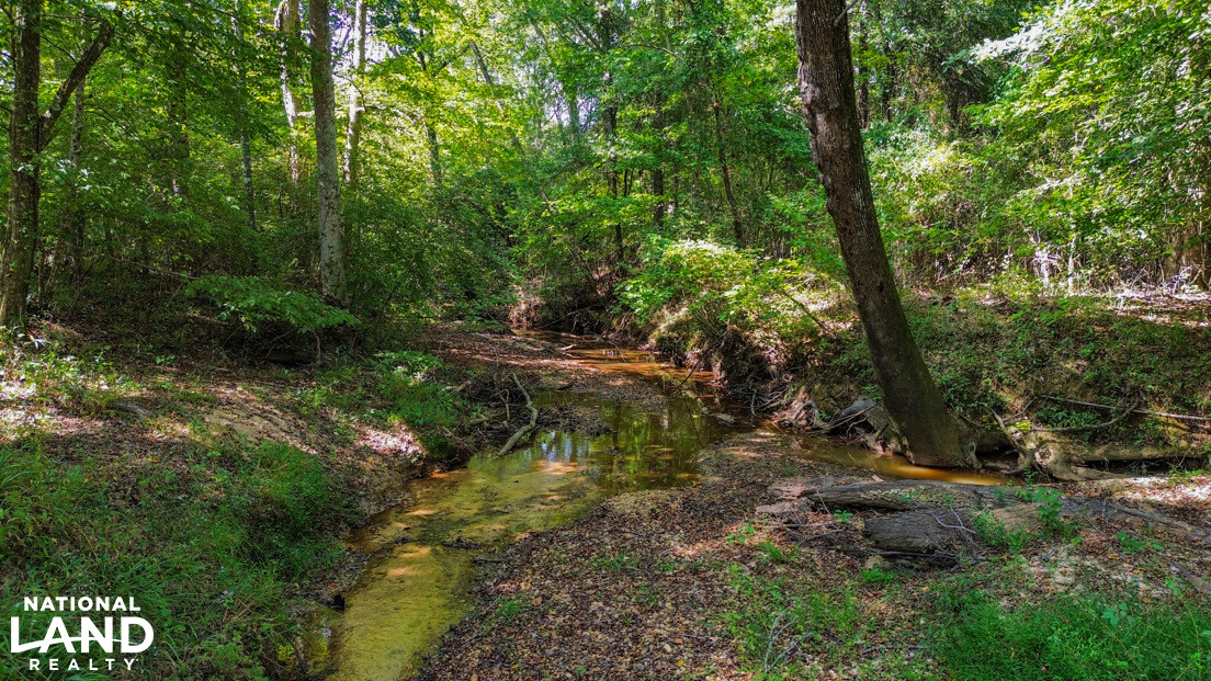 Deer Creek Road Farm, Camp and Timber in Bibb County, AL (40 of 75)