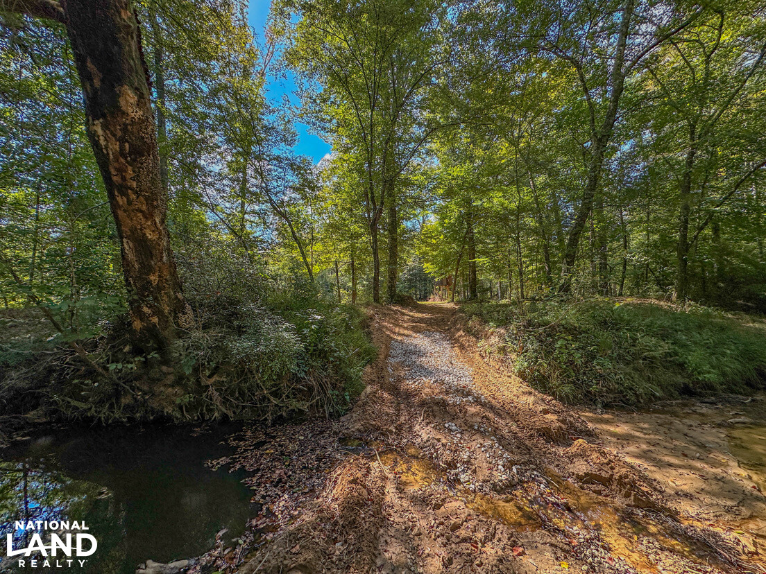 Deer Creek Road Farm, Camp and Timber in Bibb County, AL (42 of 75)