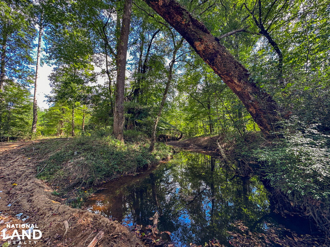 Deer Creek Road Farm, Camp and Timber in Bibb County, AL (43 of 75)