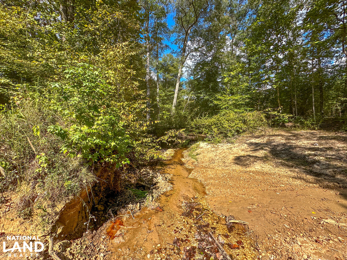 Deer Creek Road Farm, Camp and Timber in Bibb County, AL (44 of 75)