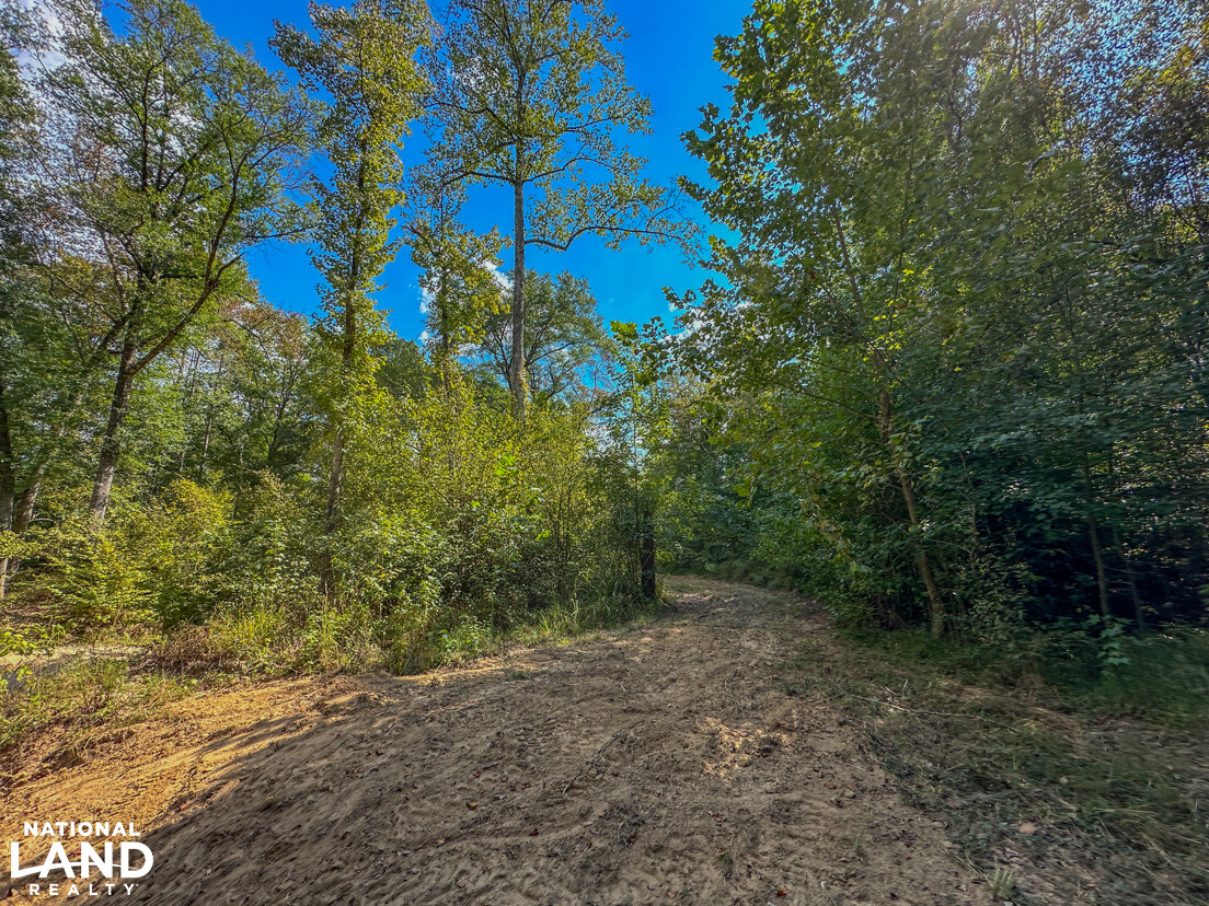 Deer Creek Road Farm, Camp and Timber in Bibb County, AL (45 of 75)