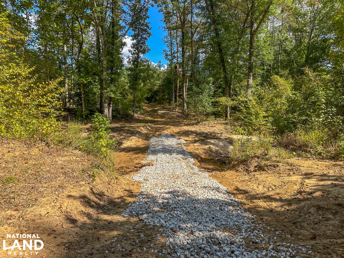 Deer Creek Road Farm, Camp and Timber in Bibb County, AL (46 of 75)