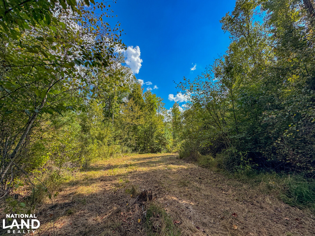 Deer Creek Road Farm, Camp and Timber in Bibb County, AL (47 of 75)