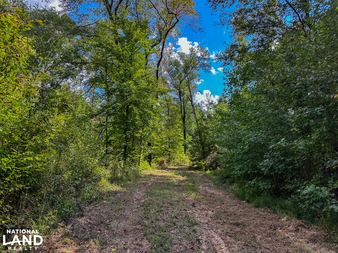 Deer Creek Road Farm, Camp and Timber in Bibb County, AL (48 of 75)