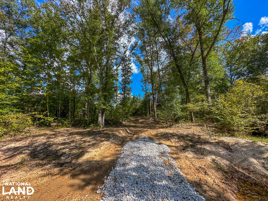 Deer Creek Road Farm, Camp and Timber in Bibb County, AL (49 of 75)