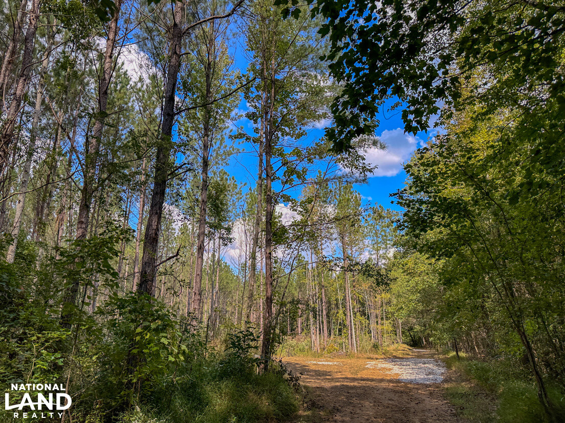 Deer Creek Road Farm, Camp and Timber in Bibb County, AL (52 of 75)