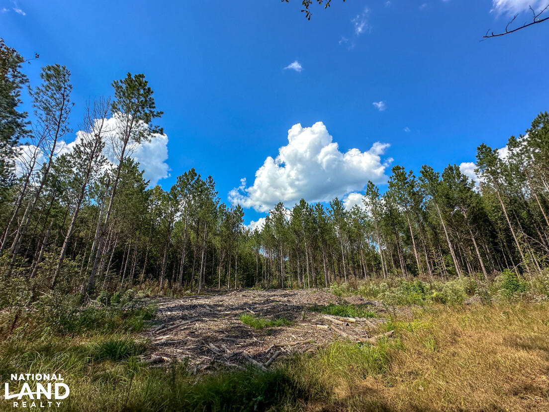 Deer Creek Road Farm, Camp and Timber in Bibb County, AL (53 of 75)