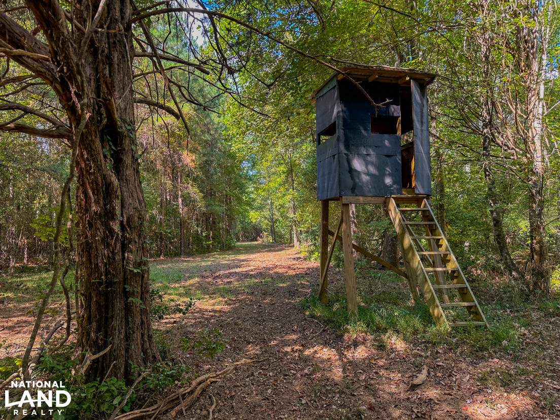 Deer Creek Road Farm, Camp and Timber in Bibb County, AL (55 of 75)