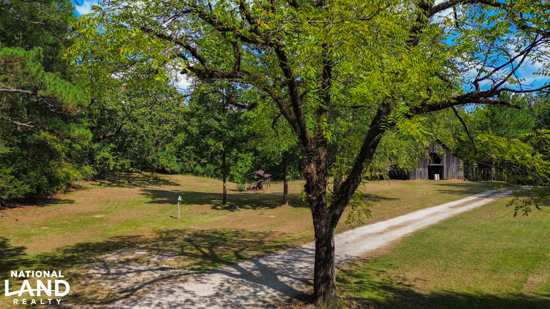 Deer Creek Road Farm, Camp and Timber in Bibb County, AL (24 of 75)