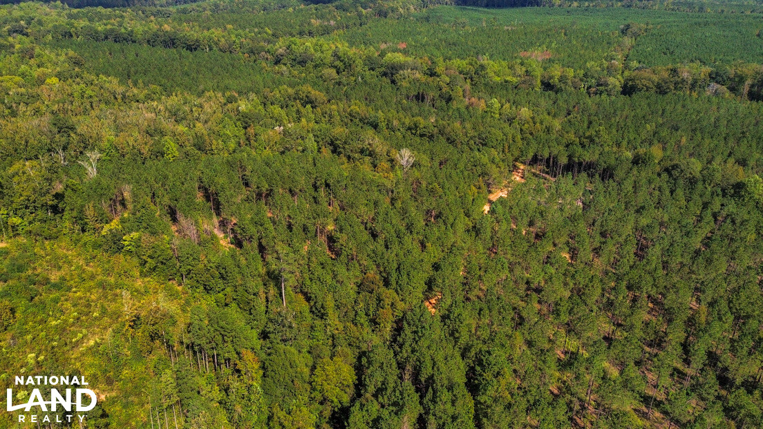 Deer Creek Road Farm, Camp and Timber in Bibb County, AL (56 of 75)
