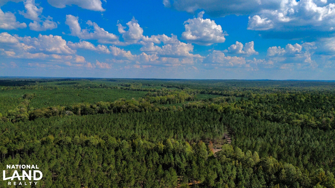 Deer Creek Road Farm, Camp and Timber in Bibb County, AL (57 of 75)