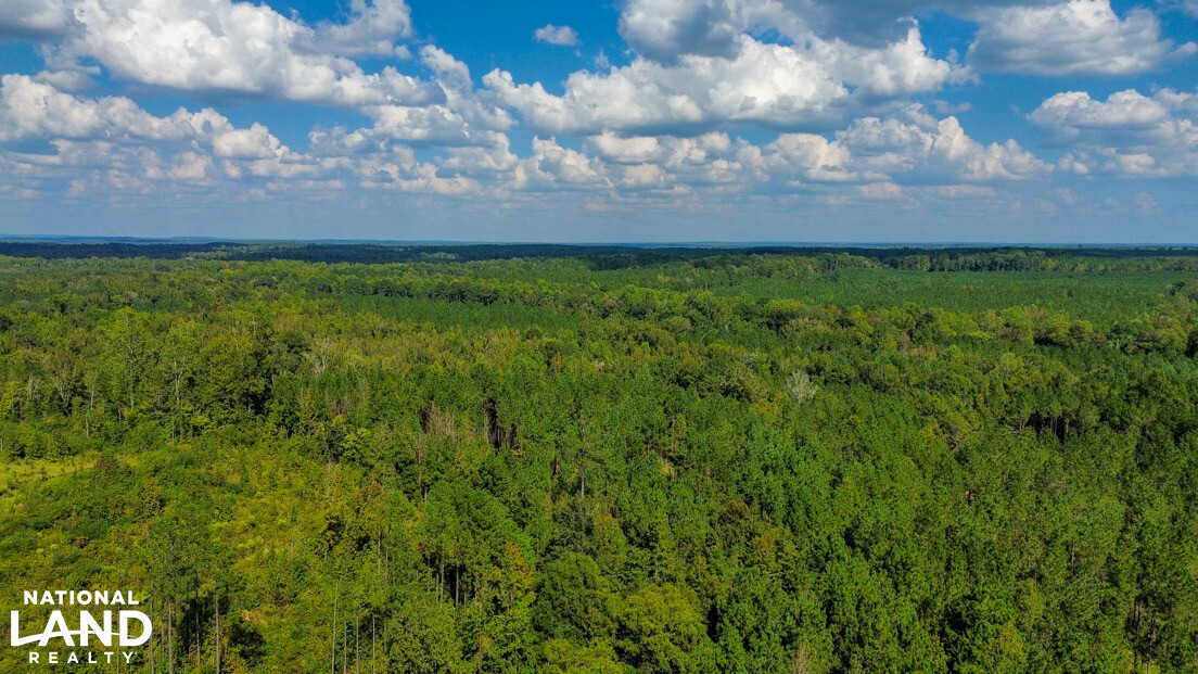Deer Creek Road Farm, Camp and Timber in Bibb County, AL (58 of 75)