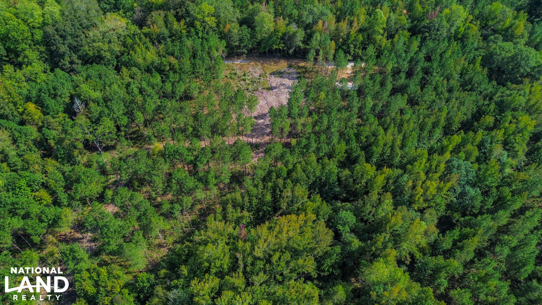 Deer Creek Road Farm, Camp and Timber in Bibb County, AL (59 of 75)