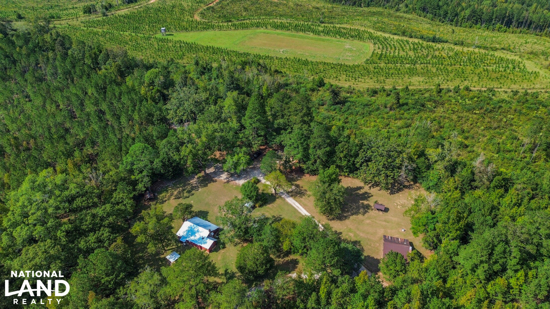 Deer Creek Road Farm, Camp and Timber in Bibb County, AL (62 of 75)