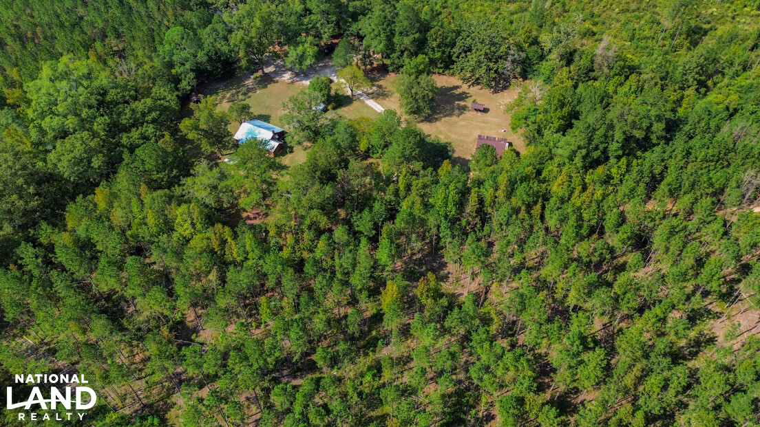 Deer Creek Road Farm, Camp and Timber in Bibb County, AL (63 of 75)