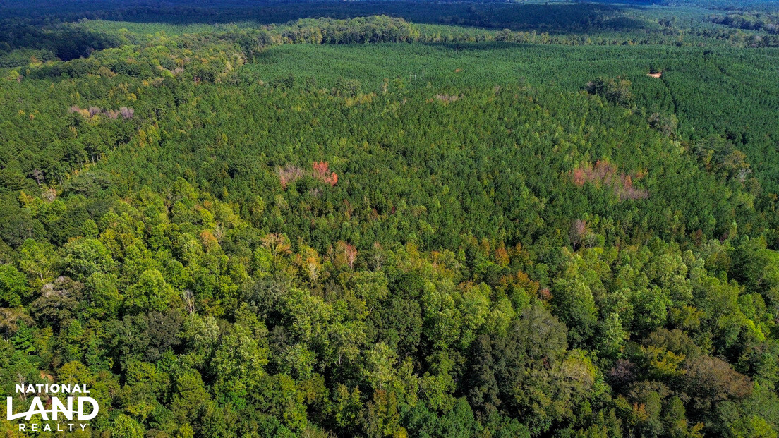 Deer Creek Road Farm, Camp and Timber in Bibb County, AL (64 of 75)
