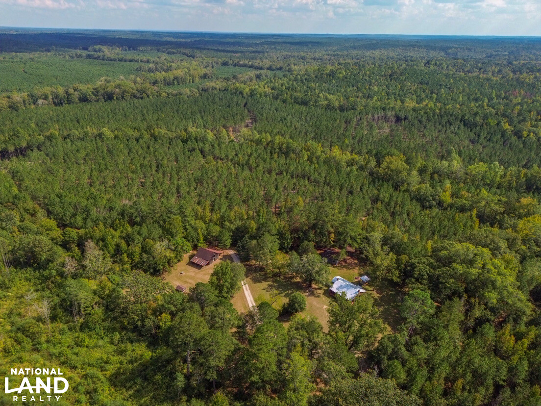 Deer Creek Road Farm, Camp and Timber in Bibb County, AL (65 of 75)