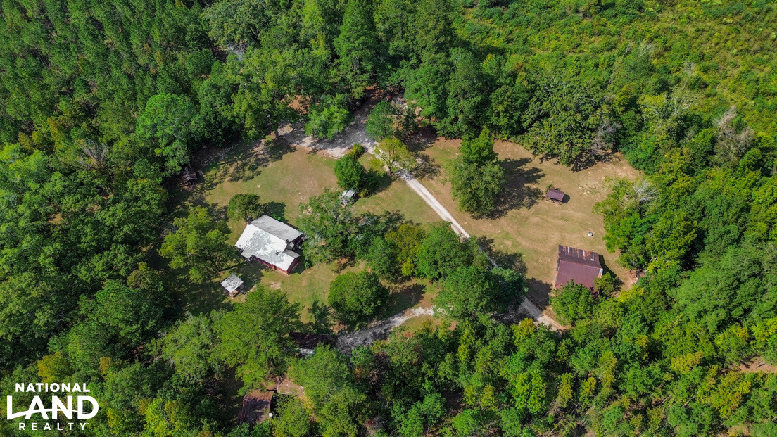 Deer Creek Road Farm, Camp and Timber in Bibb County, AL (66 of 75)